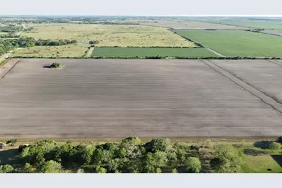 Reduced 0 Harter Road ( Cr 343 ), Blessing, TX 77419 - Photo 4