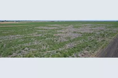 Cr 211 Wharton Cr 211, East Bernard, TX 77435 - Photo 8