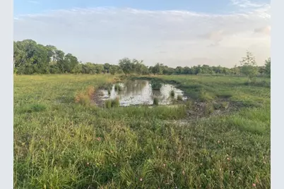 481 Acre Bay City Fm 2668, Bay City, TX 77414 - Photo 10