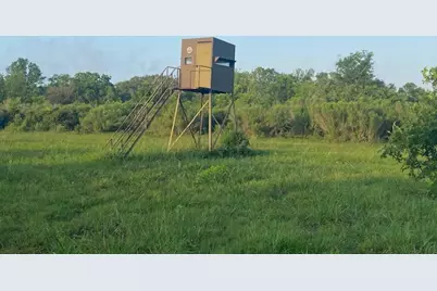 481 Acre Bay City Fm 2668, Bay City, TX 77414 - Photo 20