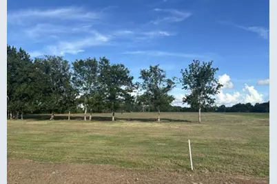 0 Old Van Vleck Rd Tract 1, Van Vleck, TX 77482 - Photo 2