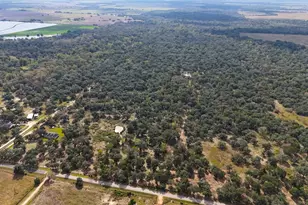 4491 Co Rd 382, Louise, TX 77455 - Photo 46