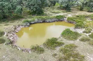 4491 Co Rd 382, Louise, TX 77455 - Photo 50