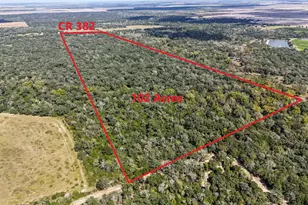 4491 Co Rd 382, Louise, TX 77455 - Photo 2