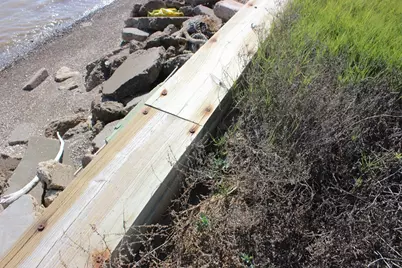 3317 Bay Point Dr, Palacios, TX 77465 - Photo 6