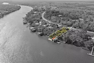 6250 Cr 659, Brazoria, TX 77422 - Photo 34