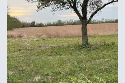 0 Cr 46, Danbury, TX 77534 - Photo 10