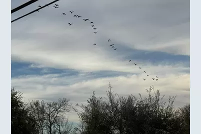 0 Cr 46, Danbury, TX 77534 - Photo 2