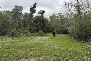 2744 Cr 415 C, Brazoria, TX 77422 - Photo 8