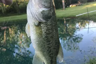 2744 Cr 415 C, Brazoria, TX 77422 - Photo 18