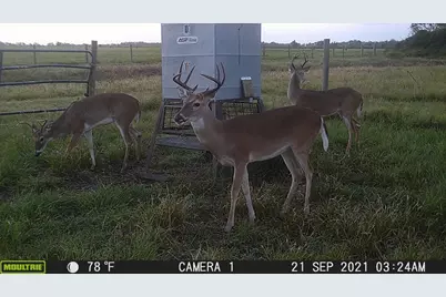 955 County Road 285, Palacios, TX 77465 - Photo 28