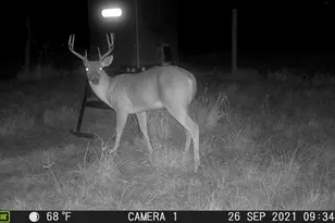 955 County Road 285, Palacios, TX 77465 - Photo 26