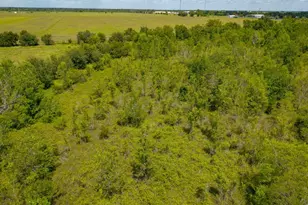 1301 Adams Rd, Bay City, TX 77414 - Photo 20