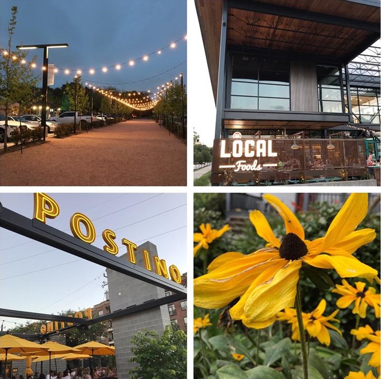 1001 Rutland St, Houston TX 77008-4138 exterior