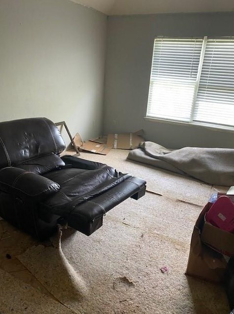 4227 Richmeadow Dr, Houston TX 77048-5587 exterior