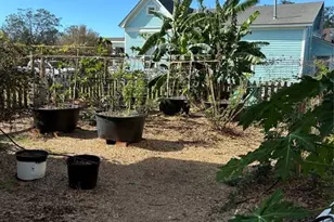 100 Welch Ave, Palacios, TX 77465 - Photo 42