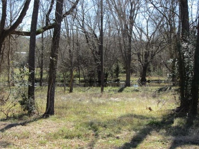 46 Arizona Ln, Huntsville TX 77320-1615 exterior