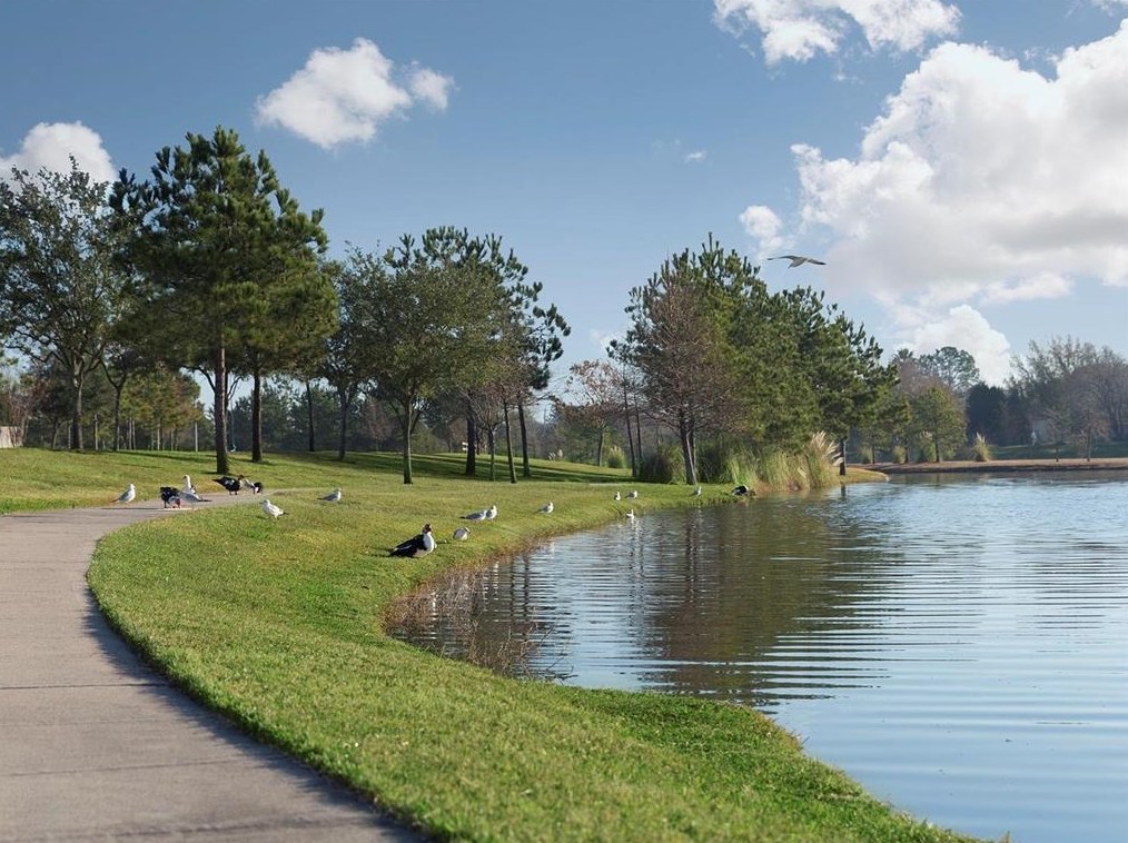 1918 Creekside Park Dr, Houston TX  exterior