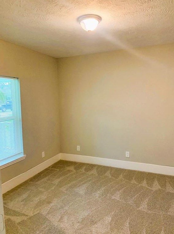 8902 Nyssa St, Houston TX  77078-2440 exterior