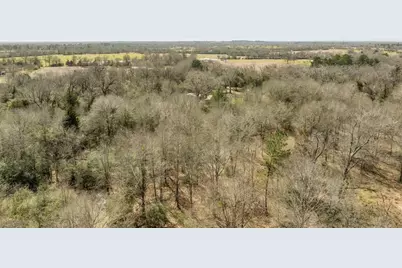 6671 Cotton Street, Bedias, TX 77831 - Photo 36