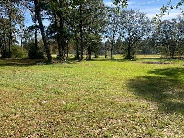 14376 Five Guinea Ln, Conroe, TX 77302