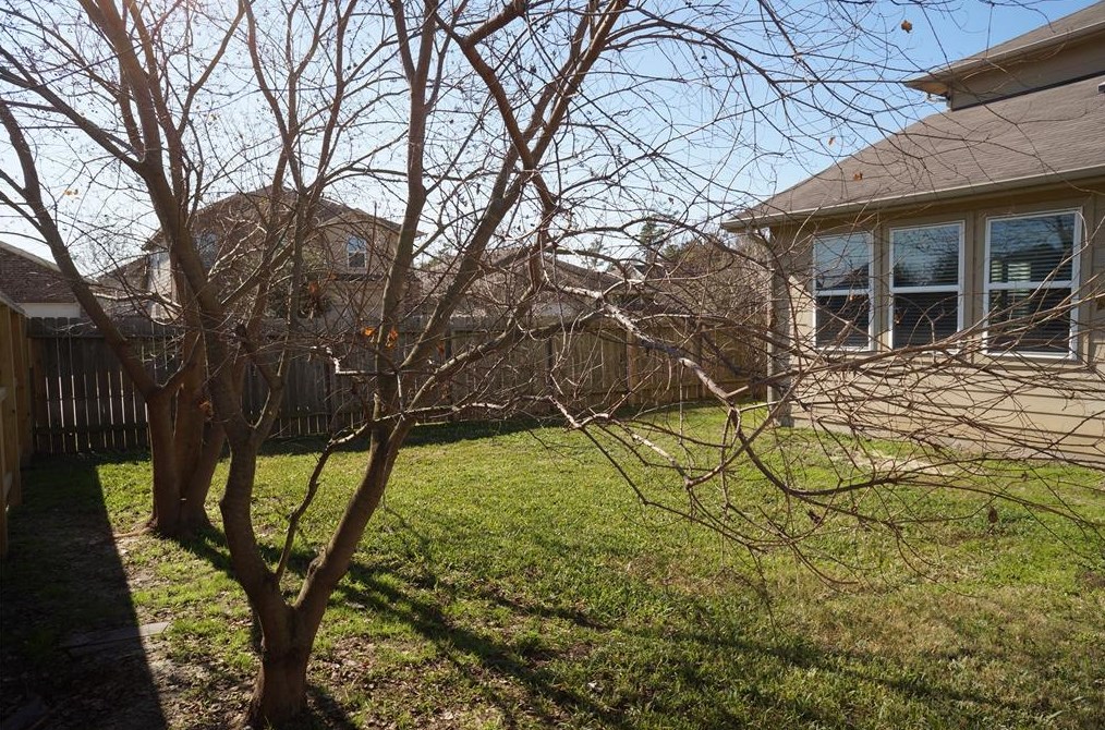 9930 Cobbs Cv Ln, Houston TX  77044-4501 exterior