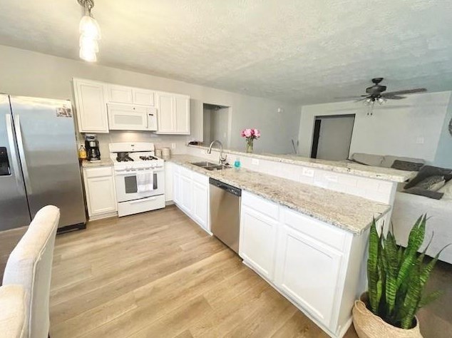 19238 Anthurium Ct, Katy, TX 77449