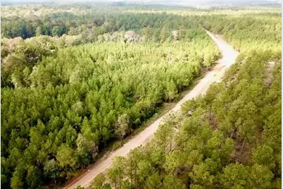 Tbd 10.2+/- Cr 2310, Woodville, TX 75979 - Photo 1