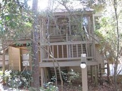 74 Cokeberry Ct, Spring, TX 77380-1800