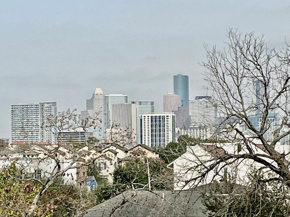 1612 Oakdale St, Houston TX  77004-5931 exterior