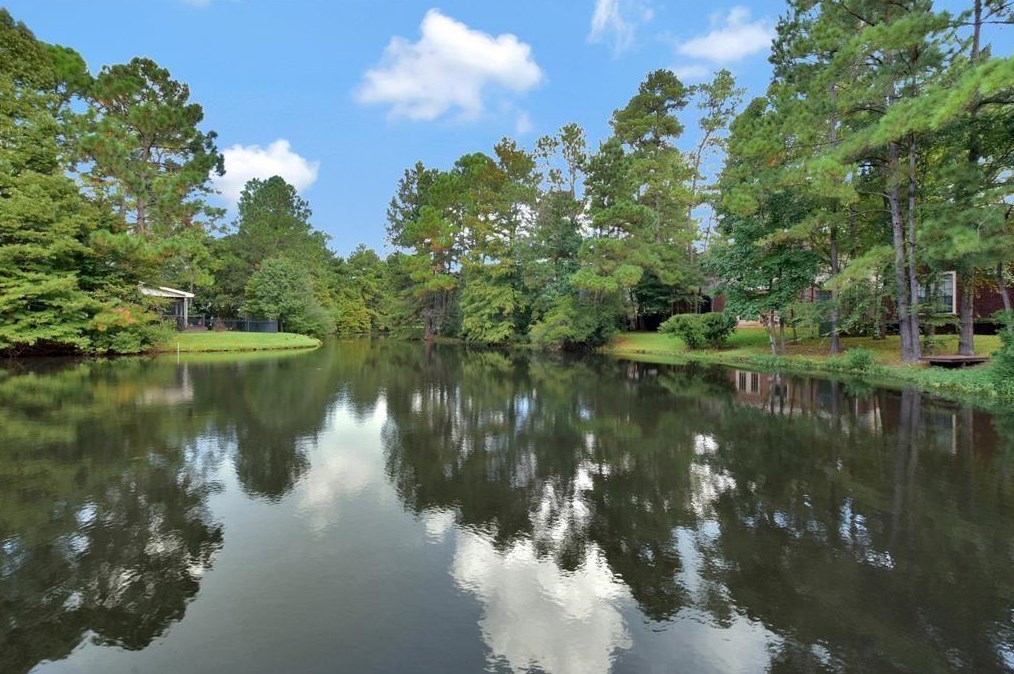 50 S Hidden View Cir, Spring, TX 77381