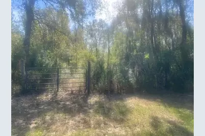 Lot 12 Sam Houston, Willis, TX 77378 - Photo 2