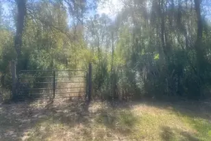 Lot 12 Sam Houston, Willis, TX 77378 - Photo 2