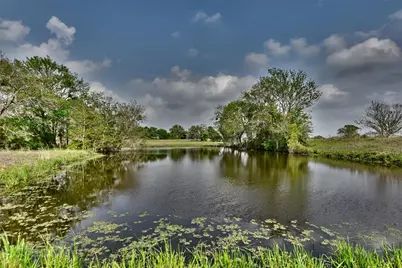 40.00 Acres Fm 141, Giddings, TX 78942 - Photo 40