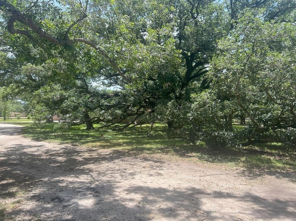 1391 County Road 668, Alvin, TX 77511