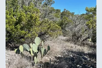 Lot 418 Private Road 1748 Road, Mico, TX 78023 - Photo 6