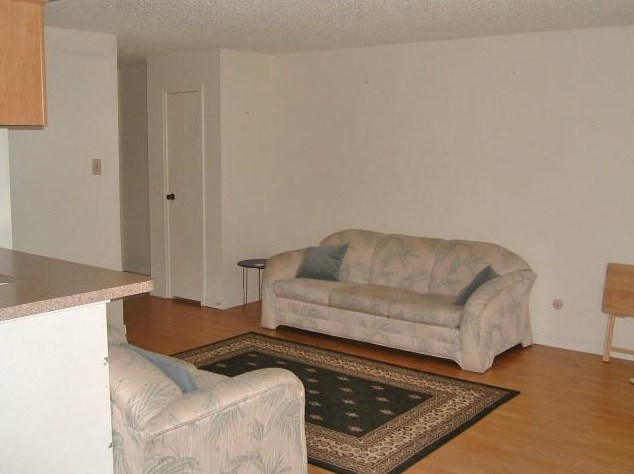 2120 El Paseo St Apt 2207, Houston, TX 77054