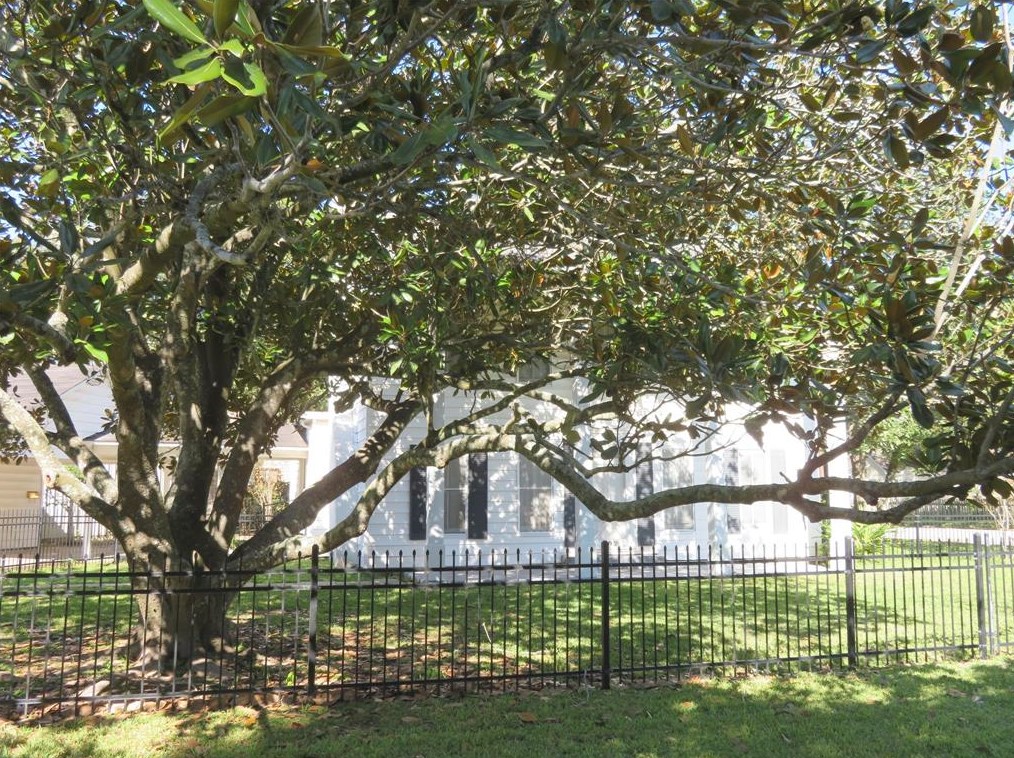 702 Erin St, Jones Creek, TX 77437