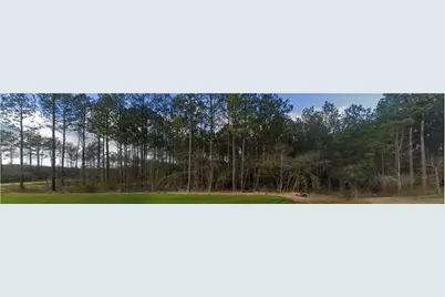 15508 Forest Grove Drive, Willis, TX 77378 - Photo 1