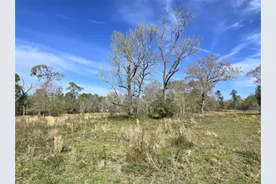 254 Road 312, Cleveland, TX 77327 - Photo 10