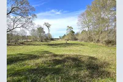 254 Road 312, Cleveland, TX 77327 - Photo 12