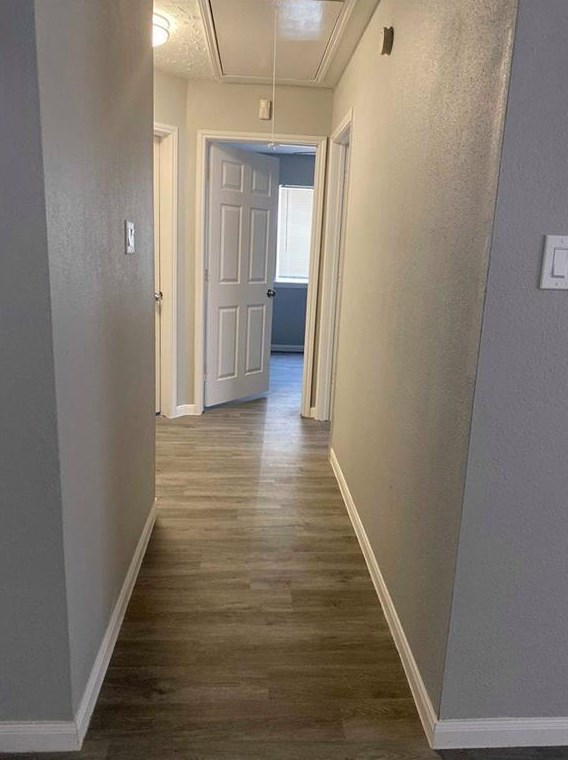 13306 Sharpbill Dr, Houston TX  77083-4869 exterior