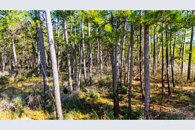 0213 Fm 3459, Onalaska, TX 77360 - Photo 10