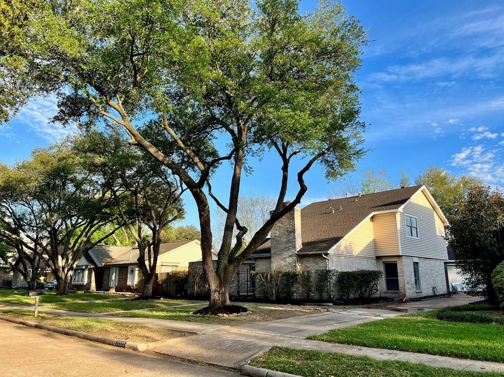 21339 Park Mount Dr, Katy, TX 77450