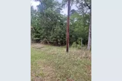 Lot 51 & 52 Sabine Drive, Trinity, TX 75862 - Photo 2