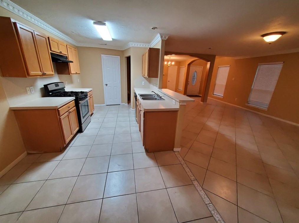 12655 Ashford Riv, Houston TX  77072-5664 exterior