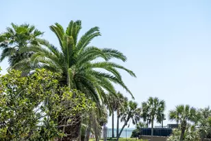 9520 Seawall Blvd, Galveston, TX 77554 - Photo 22