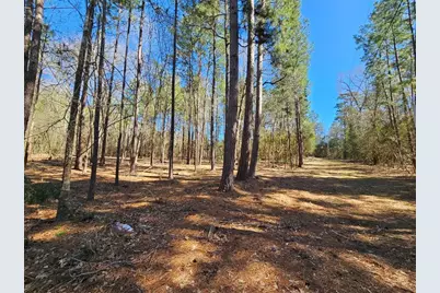 0 Reedwood, Montgomery, TX 77356 - Photo 2