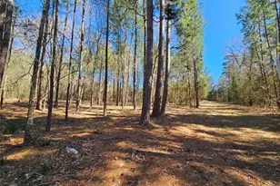 0 Reedwood, Montgomery, TX 77356 - Photo 2