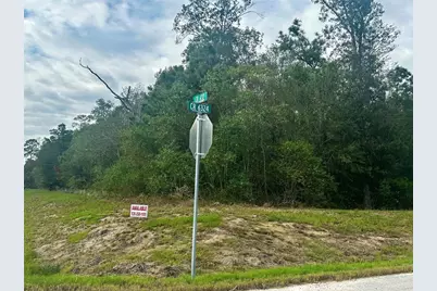 1235 County Road 6324, Dayton, TX 77535 - Photo 2